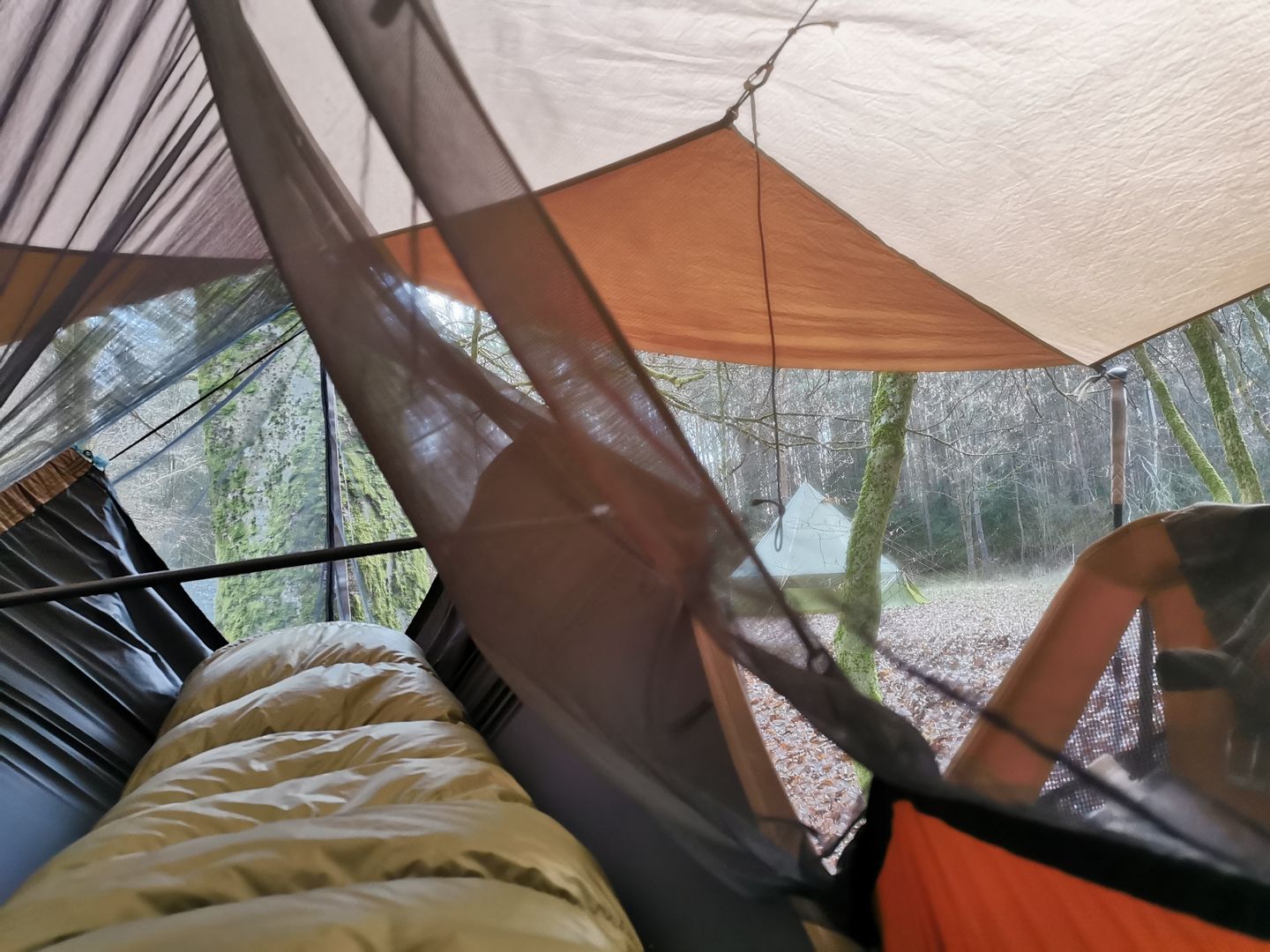 85814-4b949d3e41e-jpg