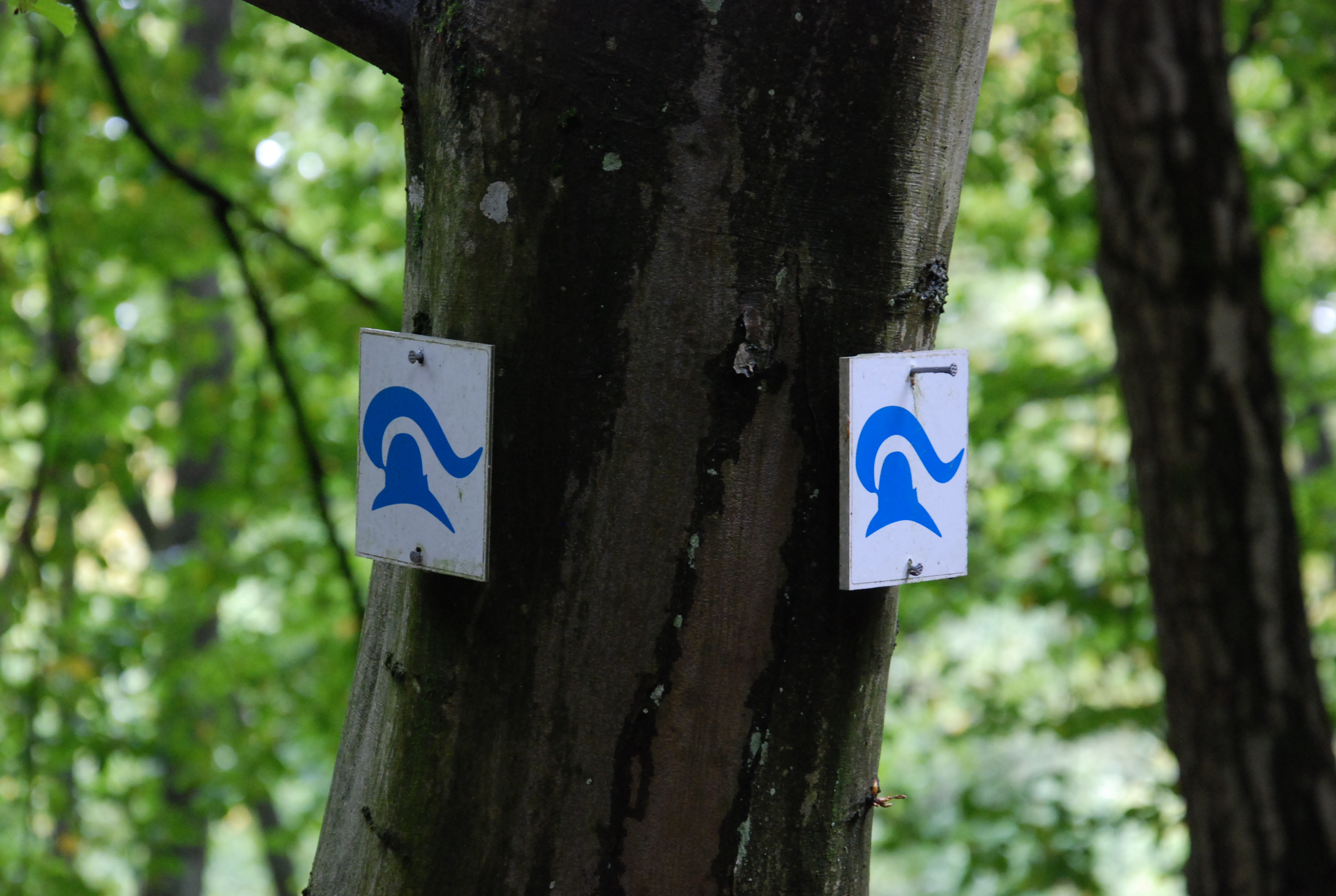 Hängemattenforum Herbsttreffen