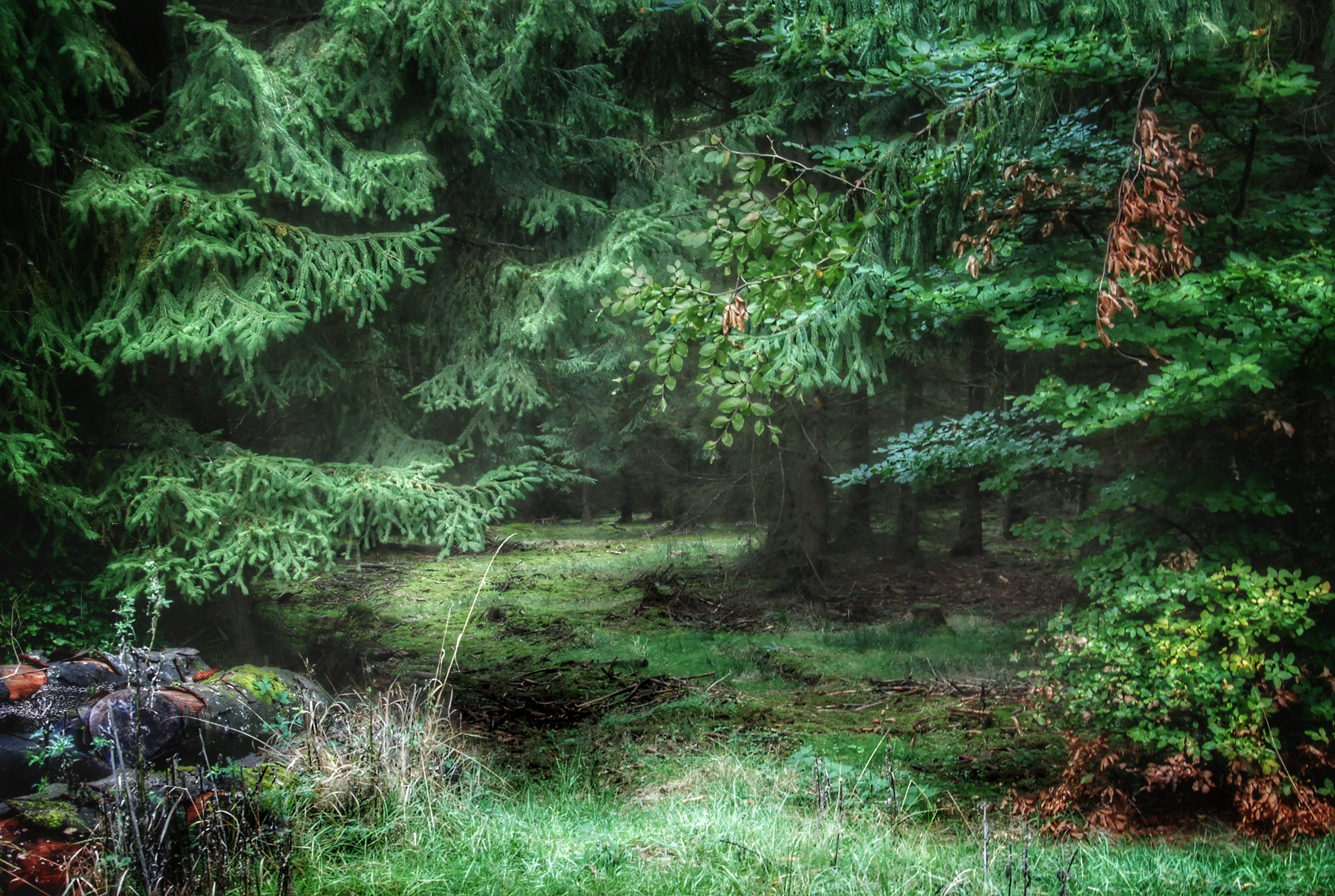 Hängemattenforum Herbsttreffen