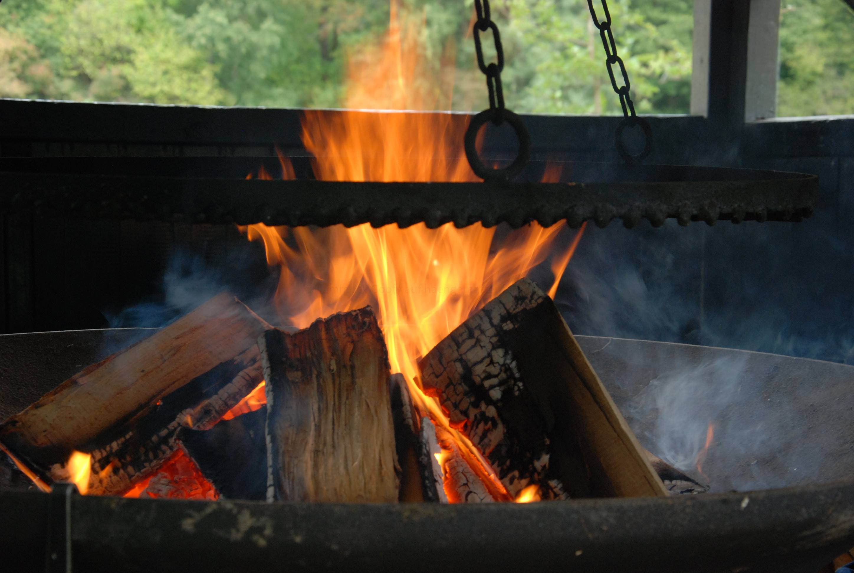 Hängemattenforum Herbsttreffen