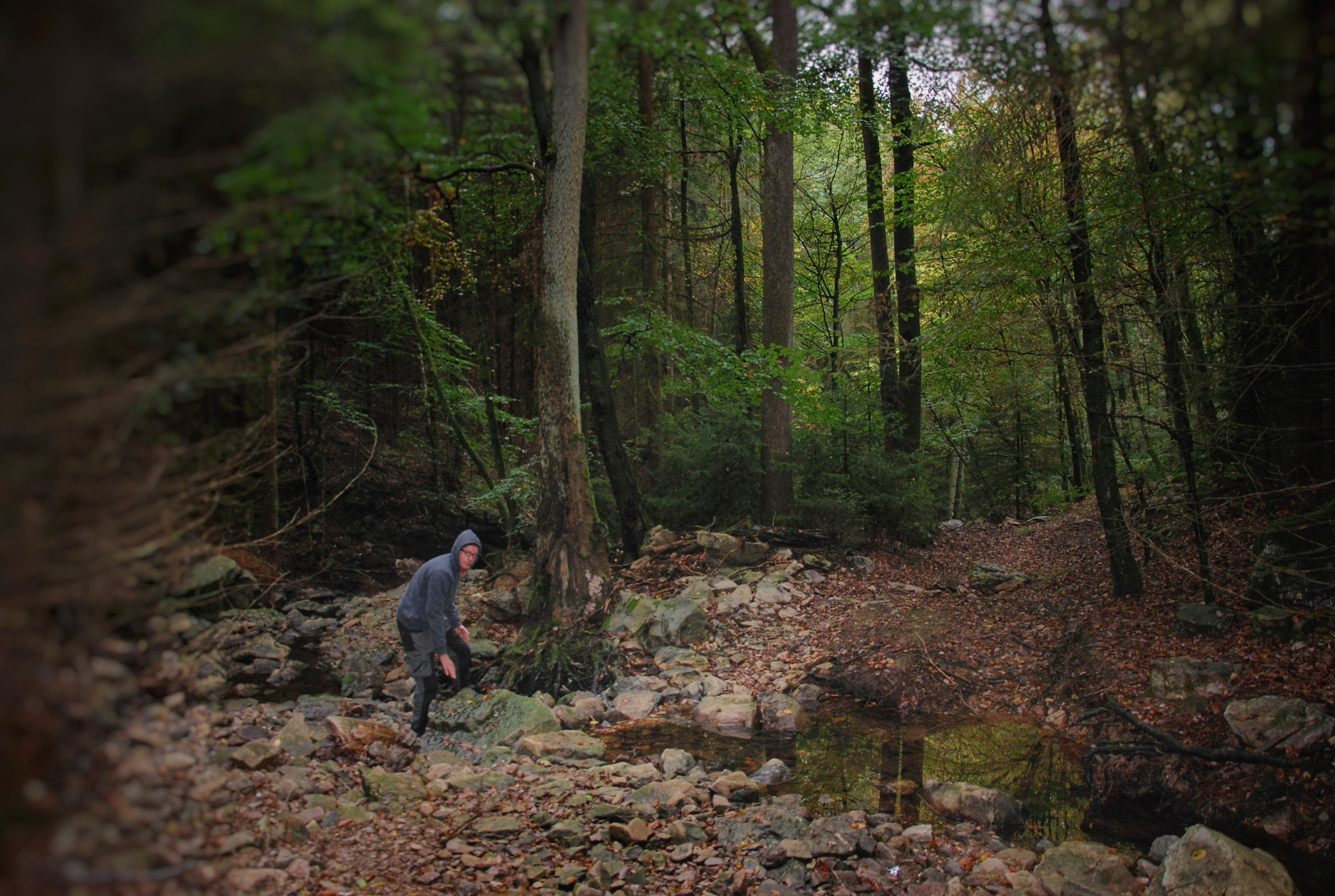 Hängemattenforum Herbsttreffen