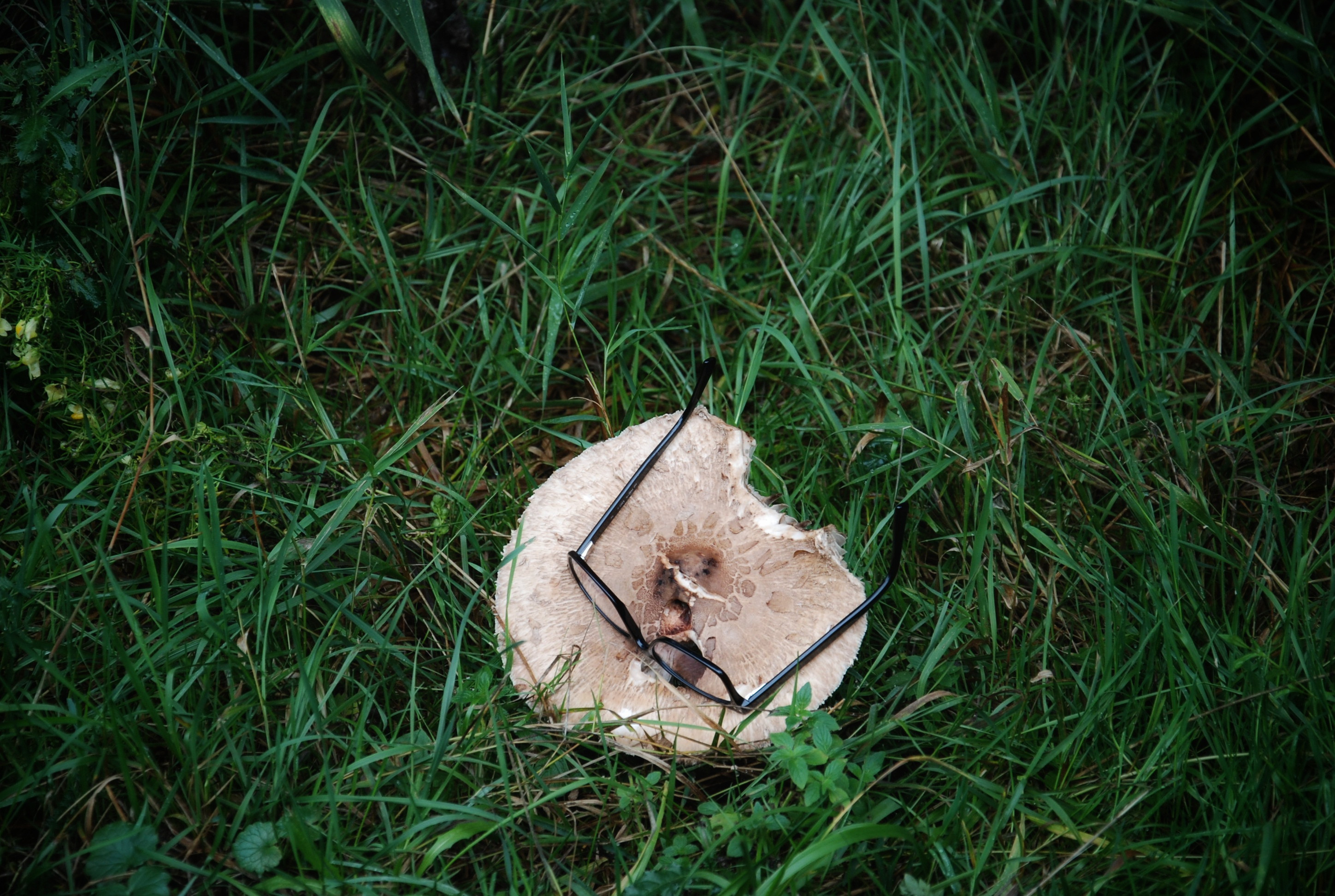 Hängemattenforum Herbsttreffen