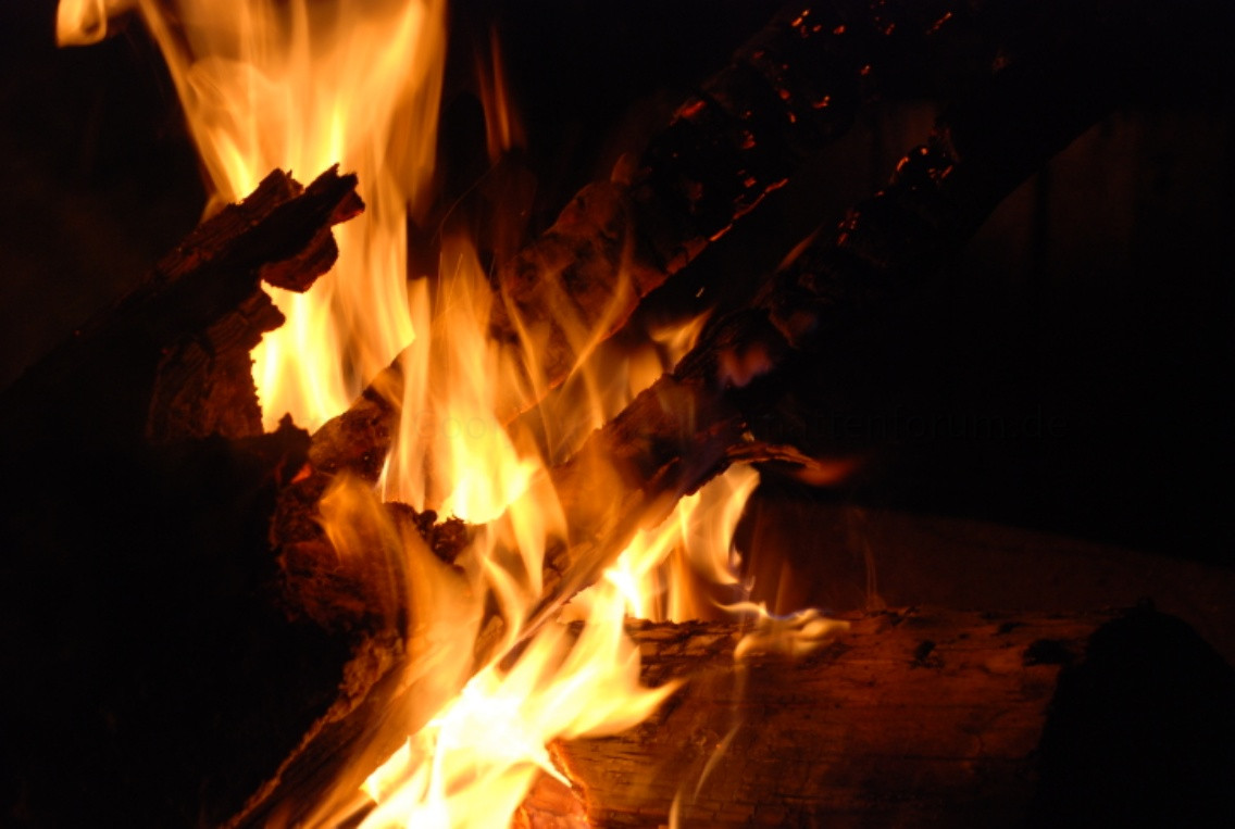 Hängemattenforum Herbsttreffen