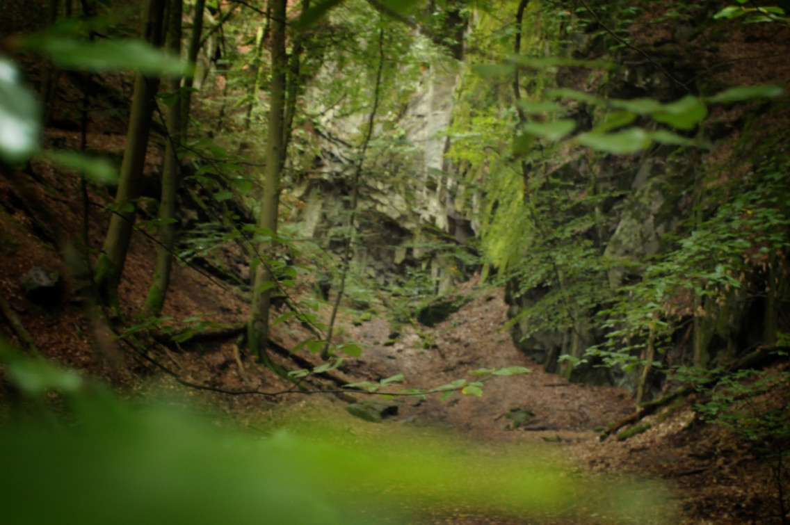 Hängemattenforum Herbsttreffen