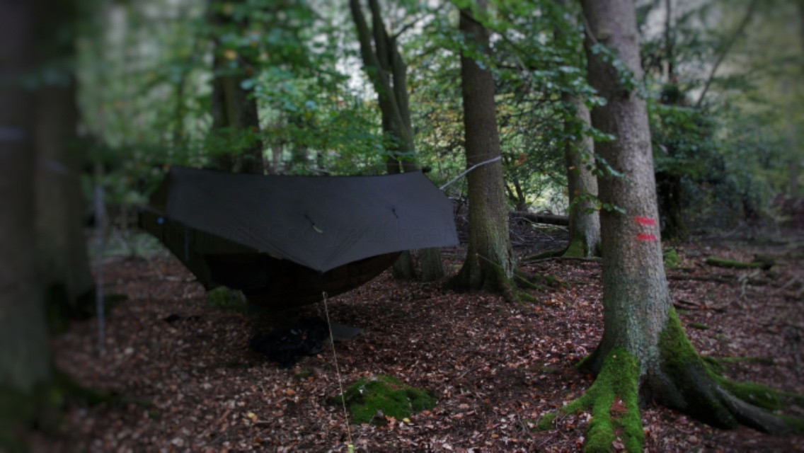 Hängemattenforum Herbsttreffen