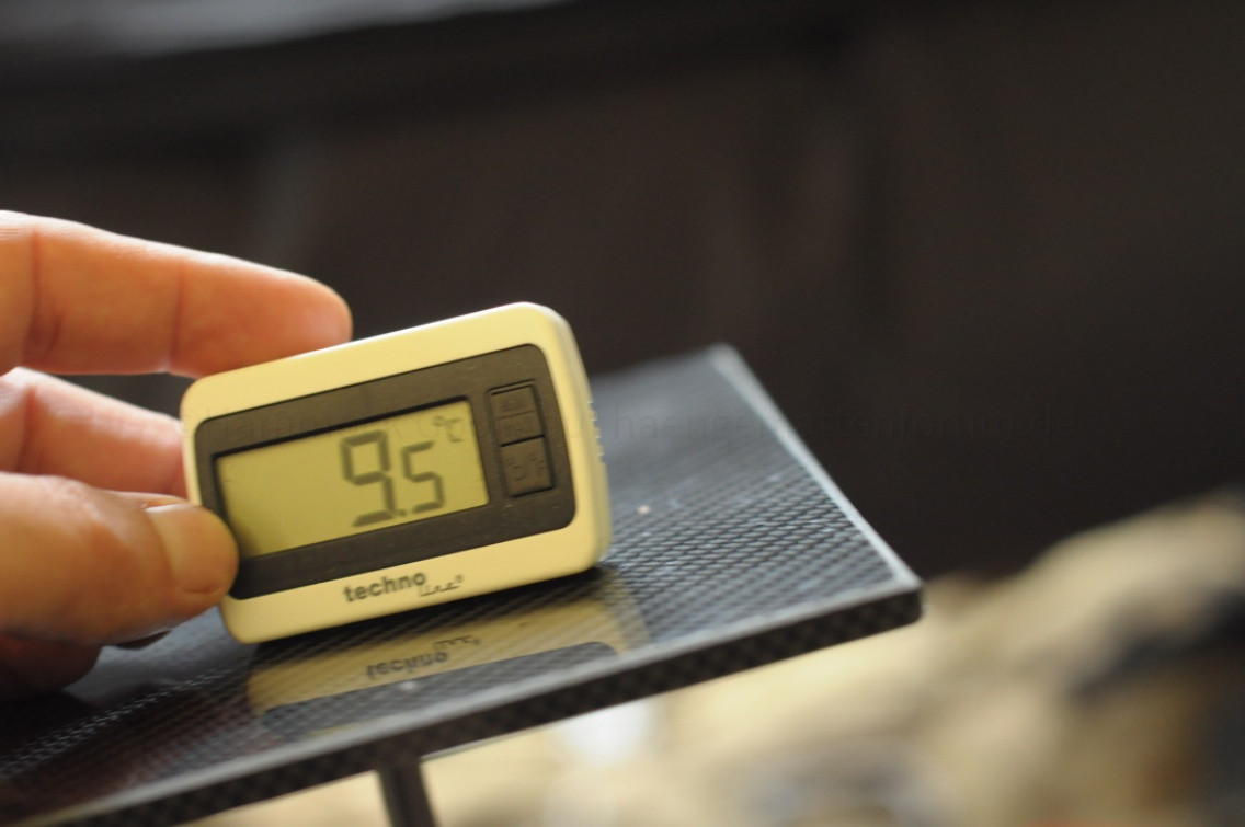 Hängemattenforum Herbsttreffen