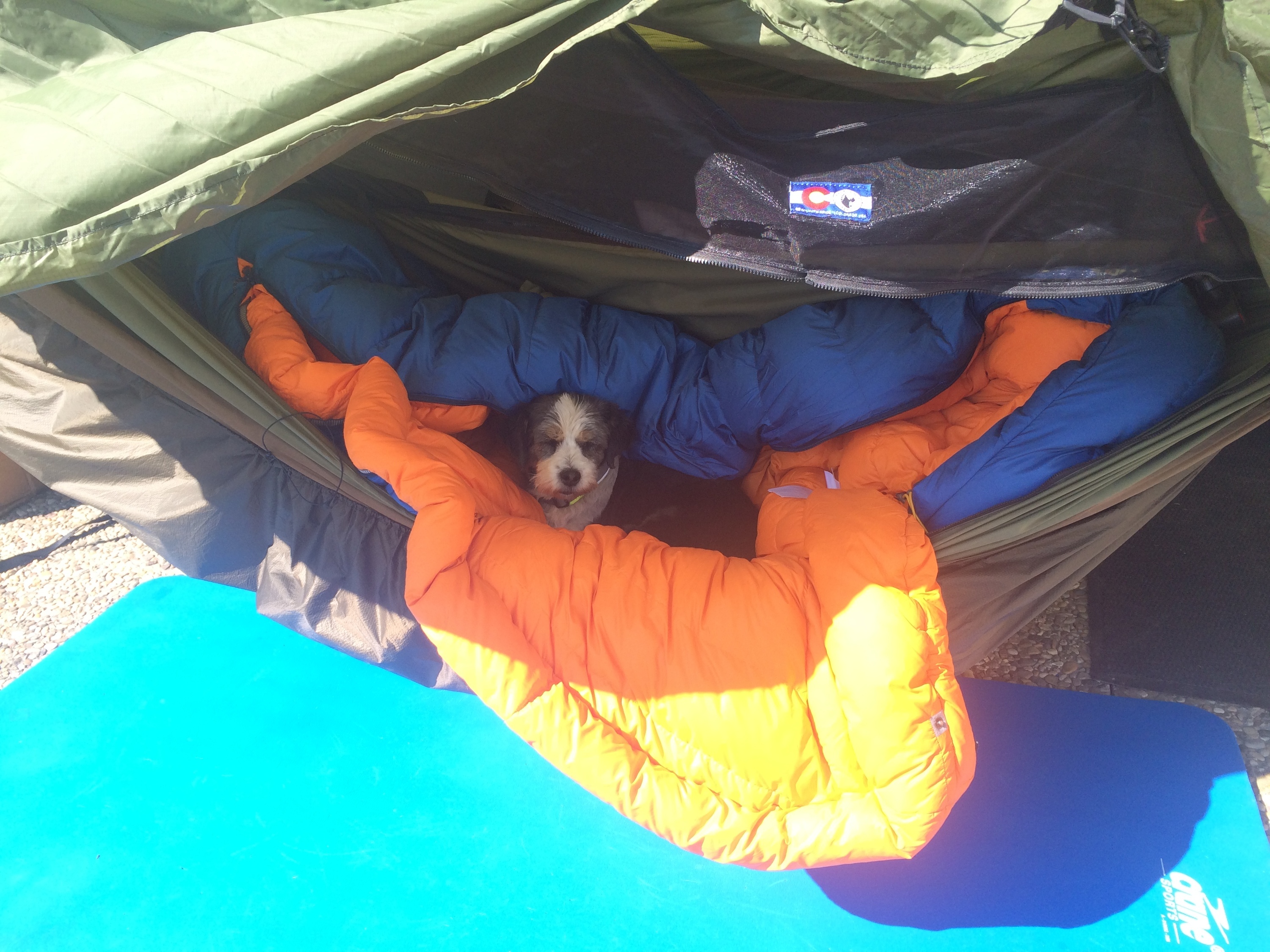 4118E976-92F9-42DD-8040-8DDE582802B0