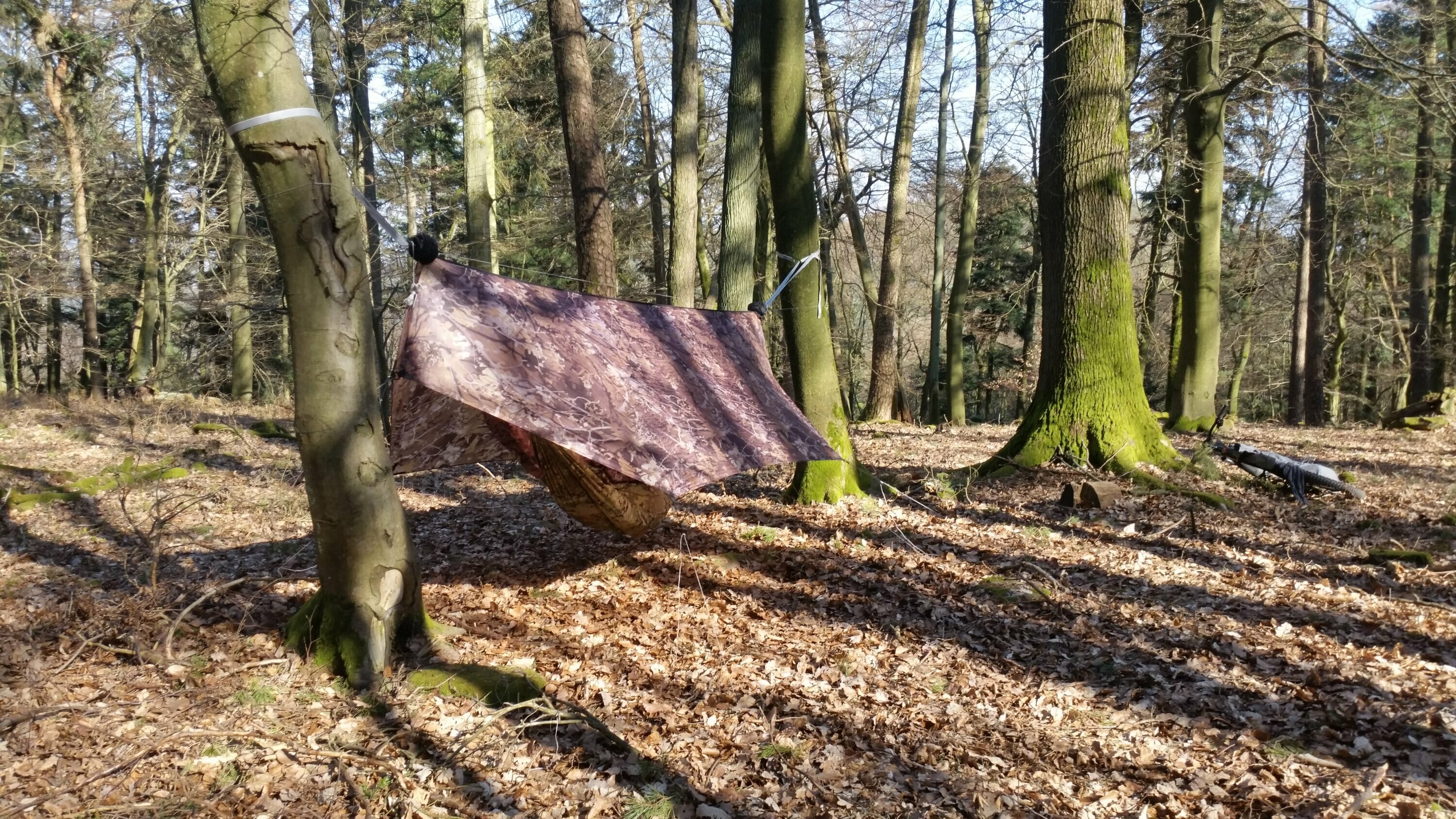 Einsames Plateau zwischen Abtskopf und Karlsplatz