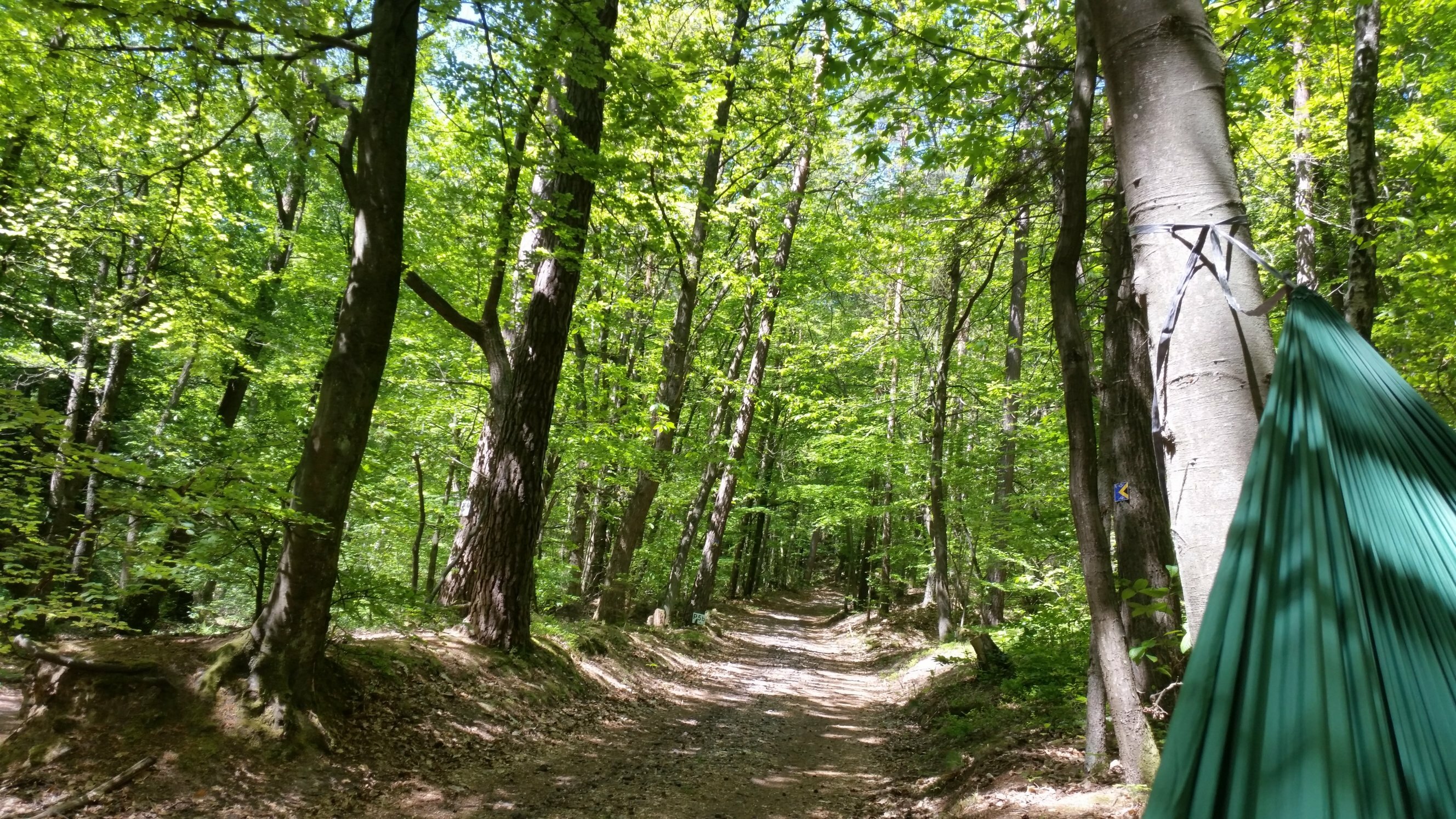 Ich in meiner TTTM Lightest (again)