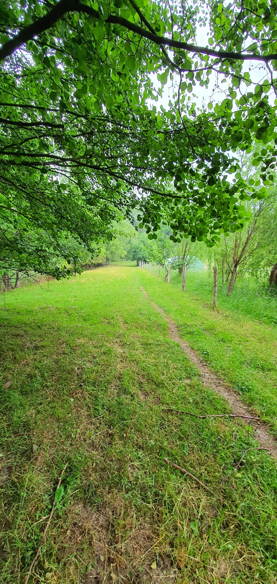 Blick aus dem Küchentarp in Richtung Bootsanleger (hinten im Bild versteckt)