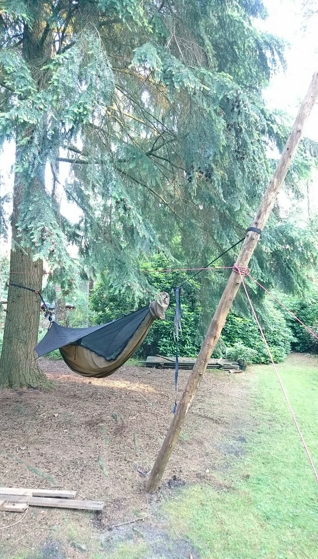 Hängematte mit nur einem Baum aufgehängt.