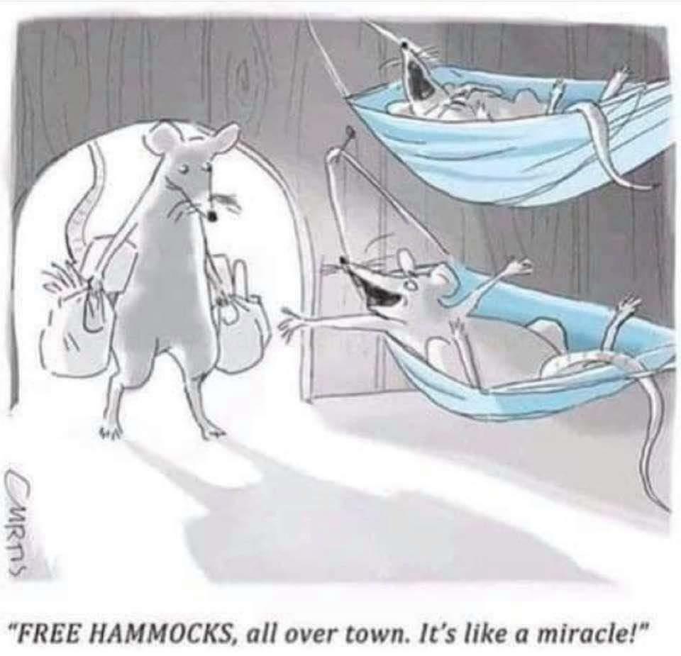 Free Hammocks