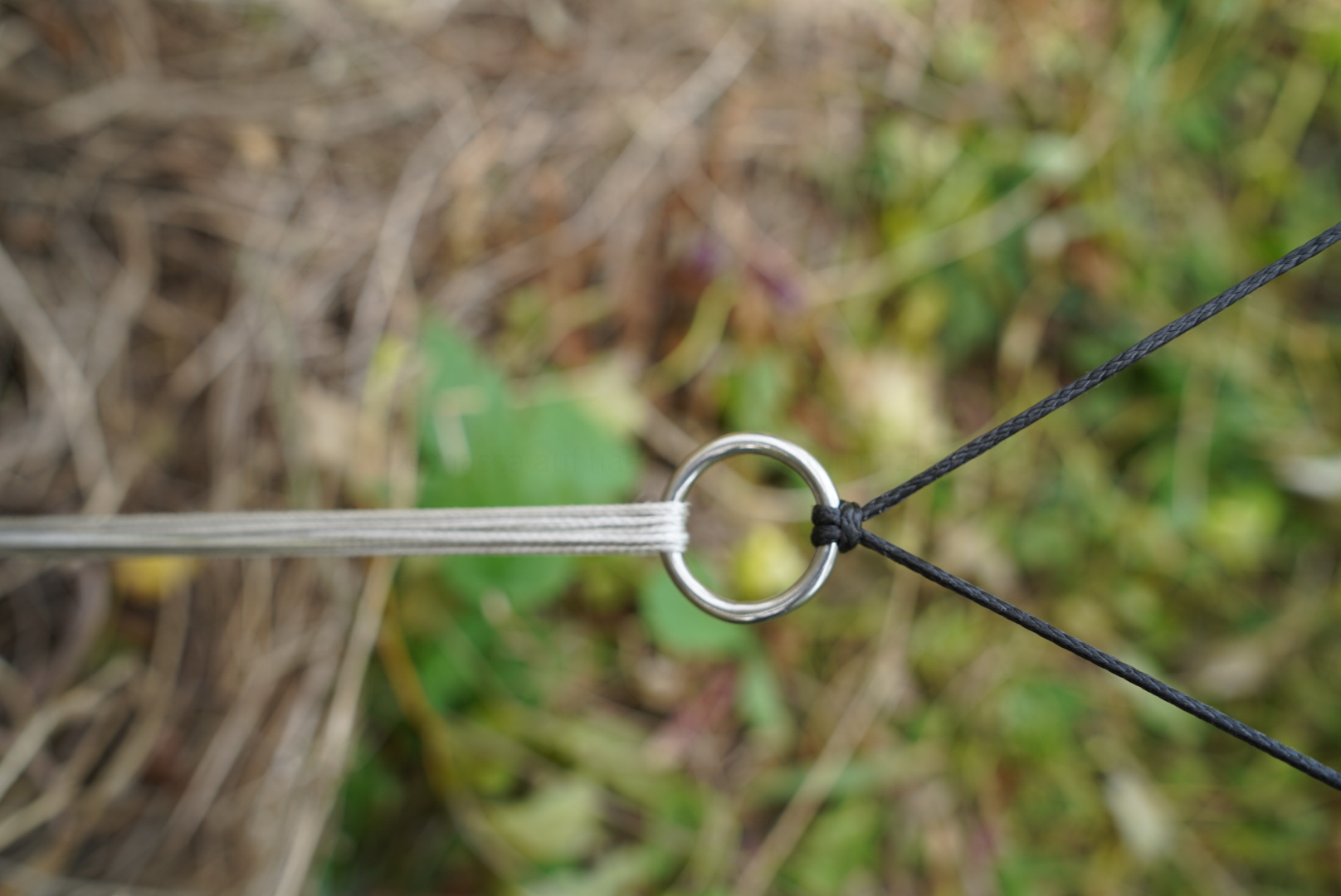 9CB9469A-F28B-438F-A262-78172060EA35