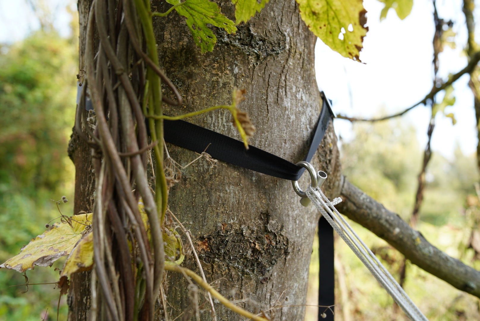 A5D1381C-64D8-459B-85A8-F7376593938A