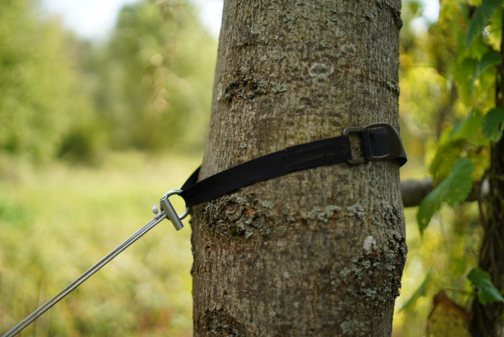 34E24BCB-3A49-44EB-8340-98A564A9012F