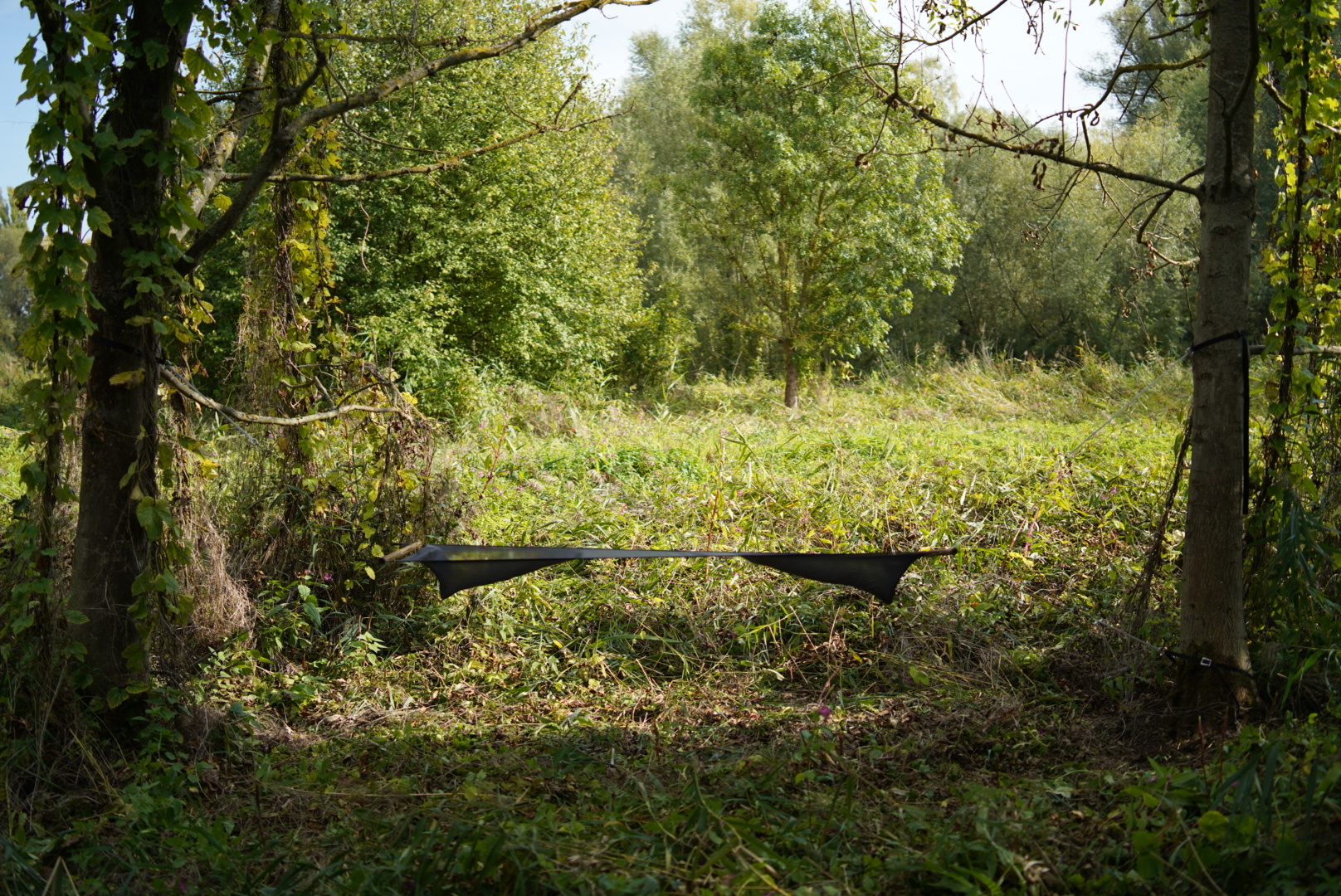 48F39001-DCAD-429C-BD5B-E2041D9B77A9