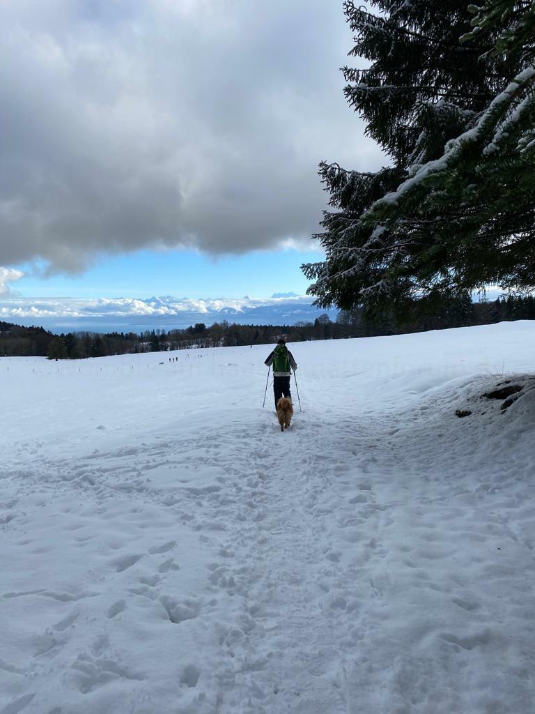 Jura Frankreich Faucille
