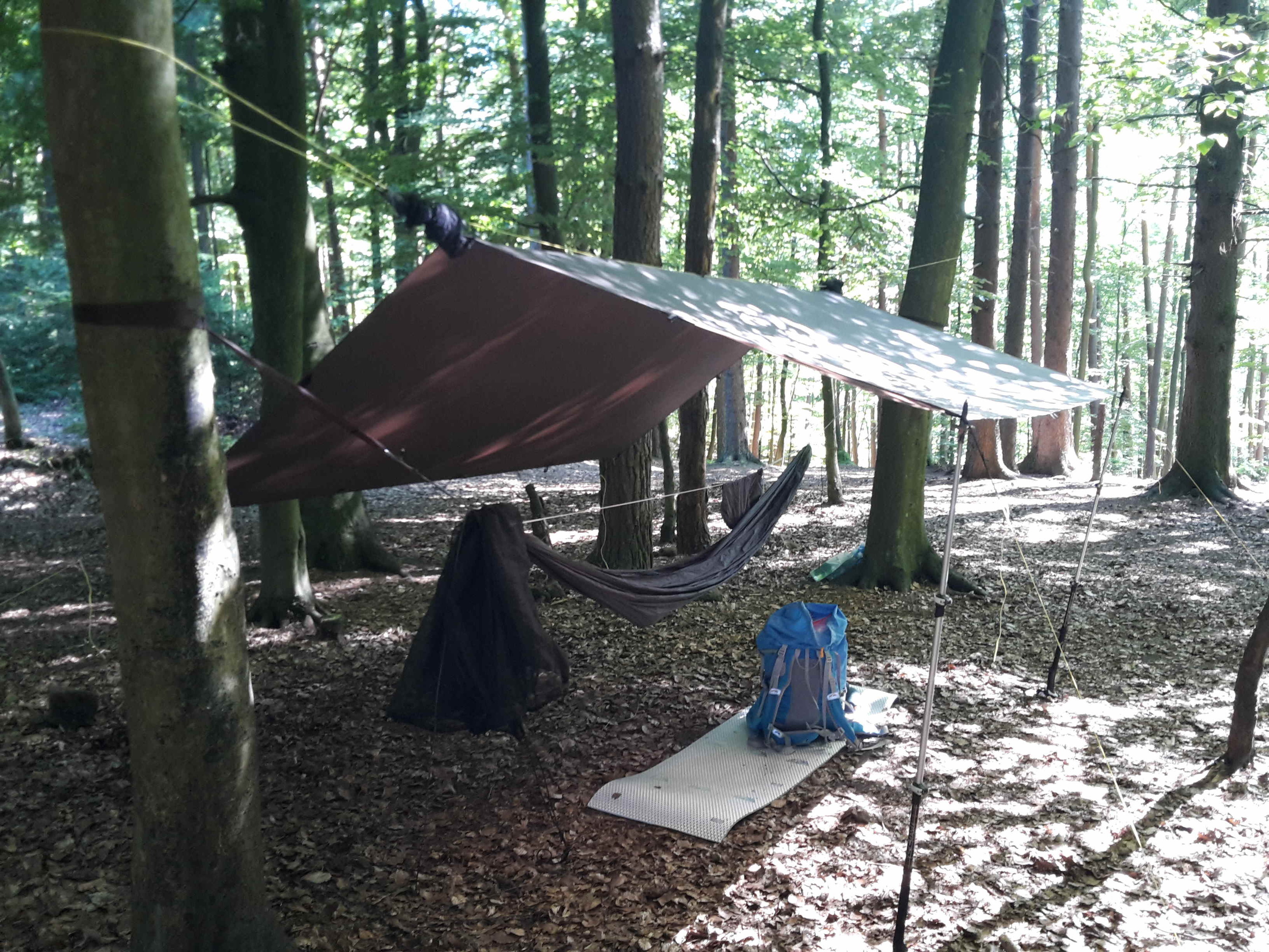 DD Ultralight Setup