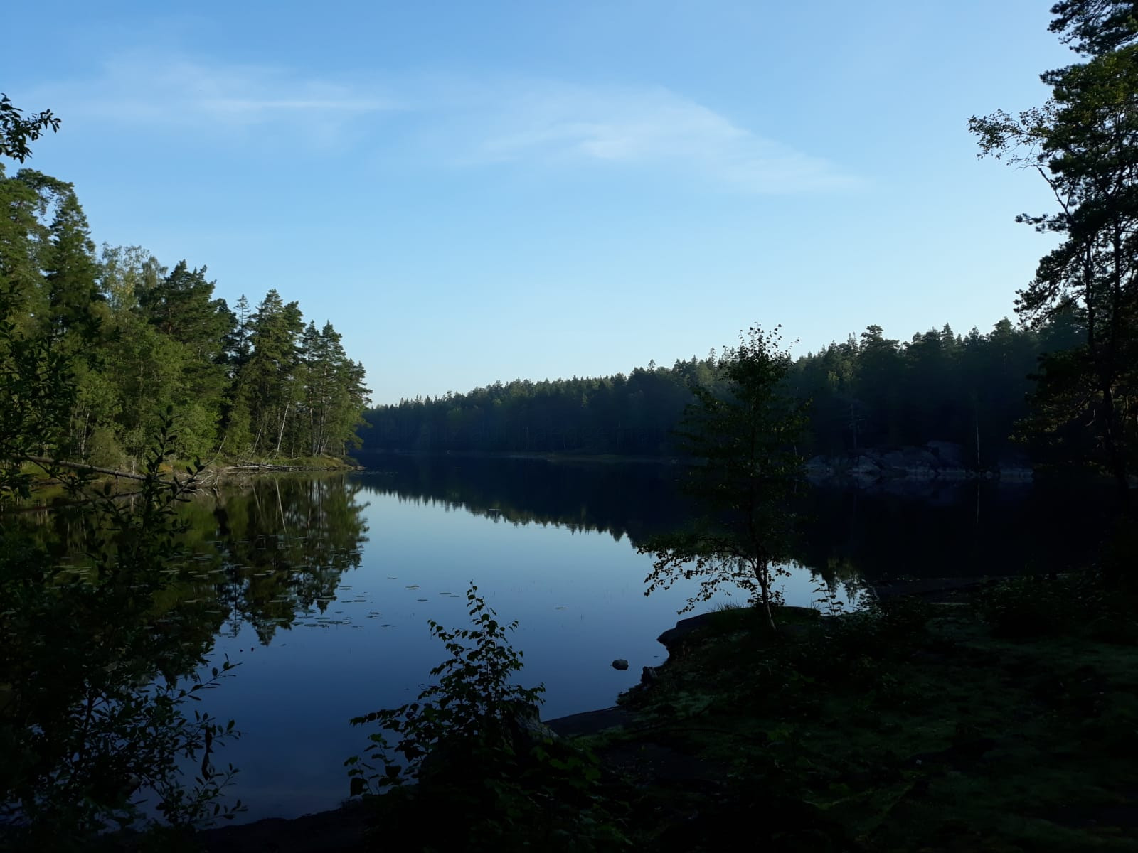 Impressionen aus dem Tyresta Nationalpark, Schweden