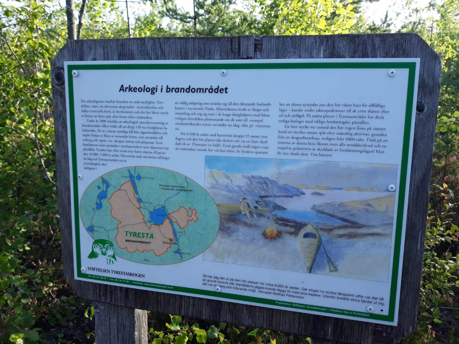 Impressionen aus dem Tyresta Nationalpark, Schweden