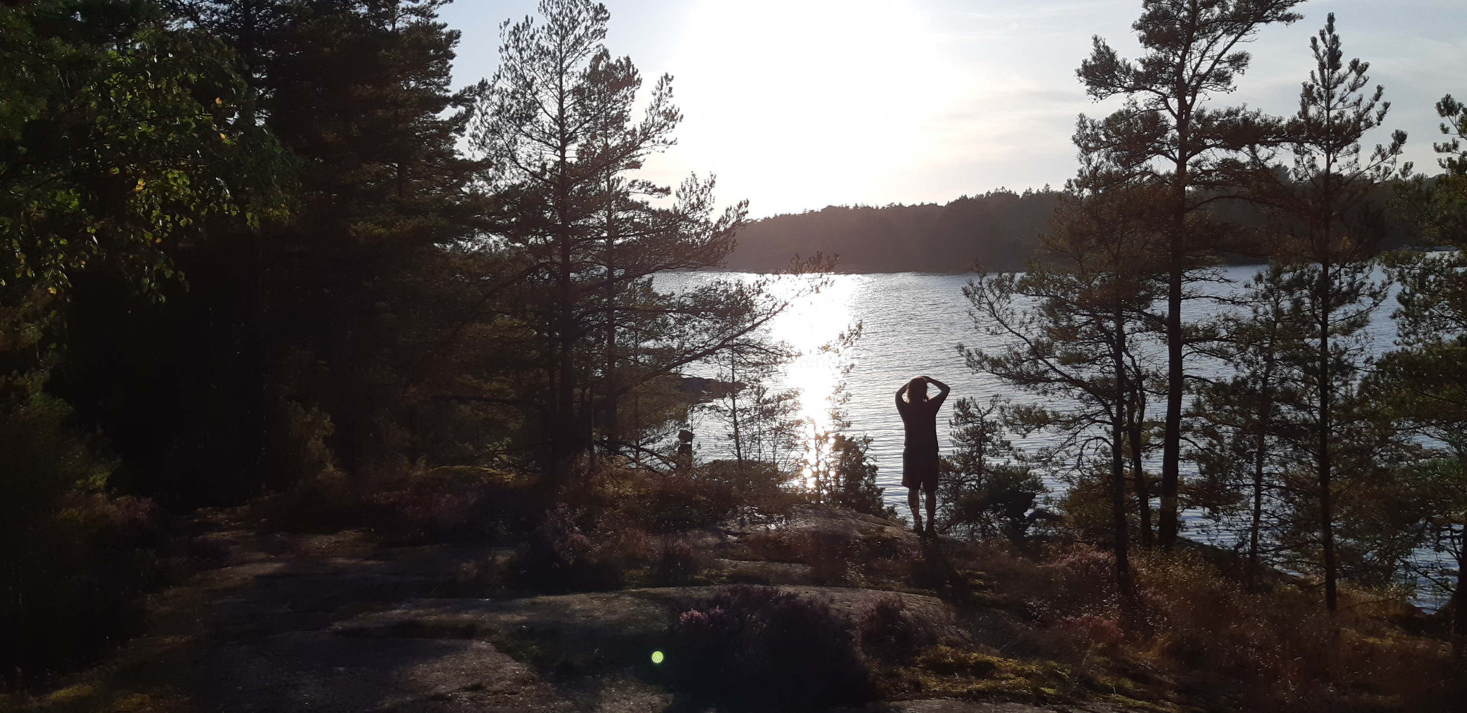 Impressionen aus dem Tyresta Nationalpark, Schweden
