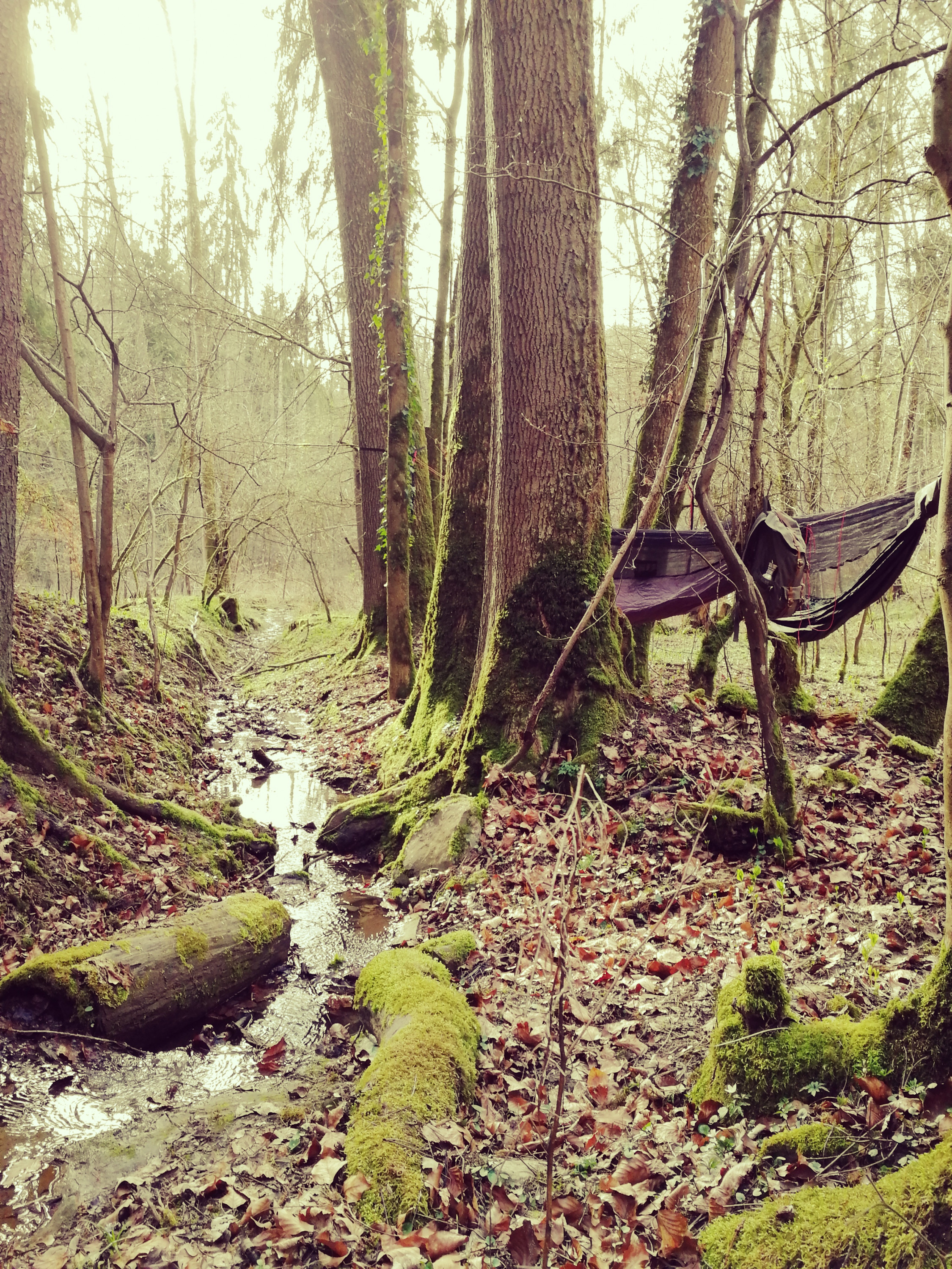 Lieblingsplatz am Bach