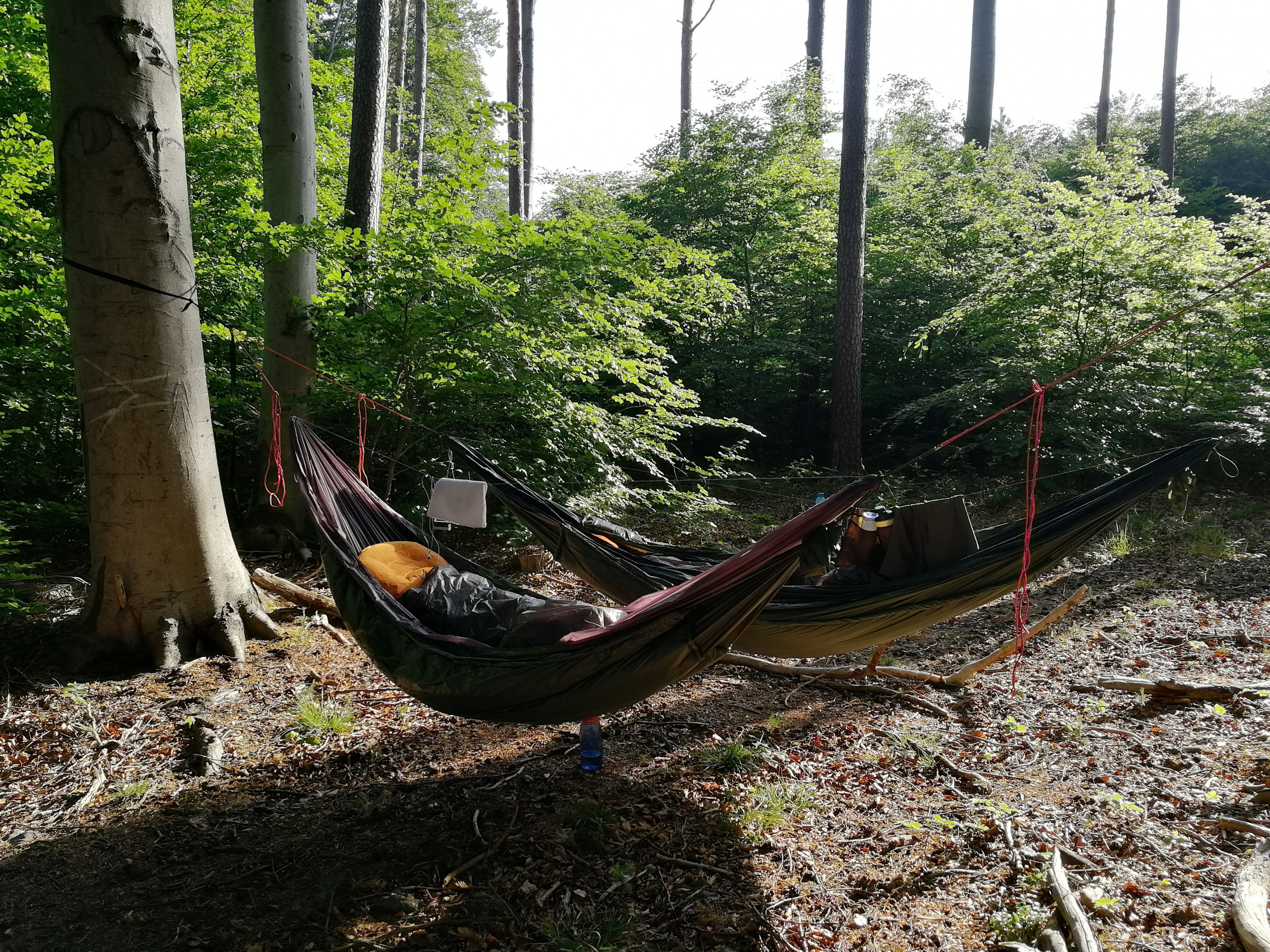 Sonnengruß am Morgen