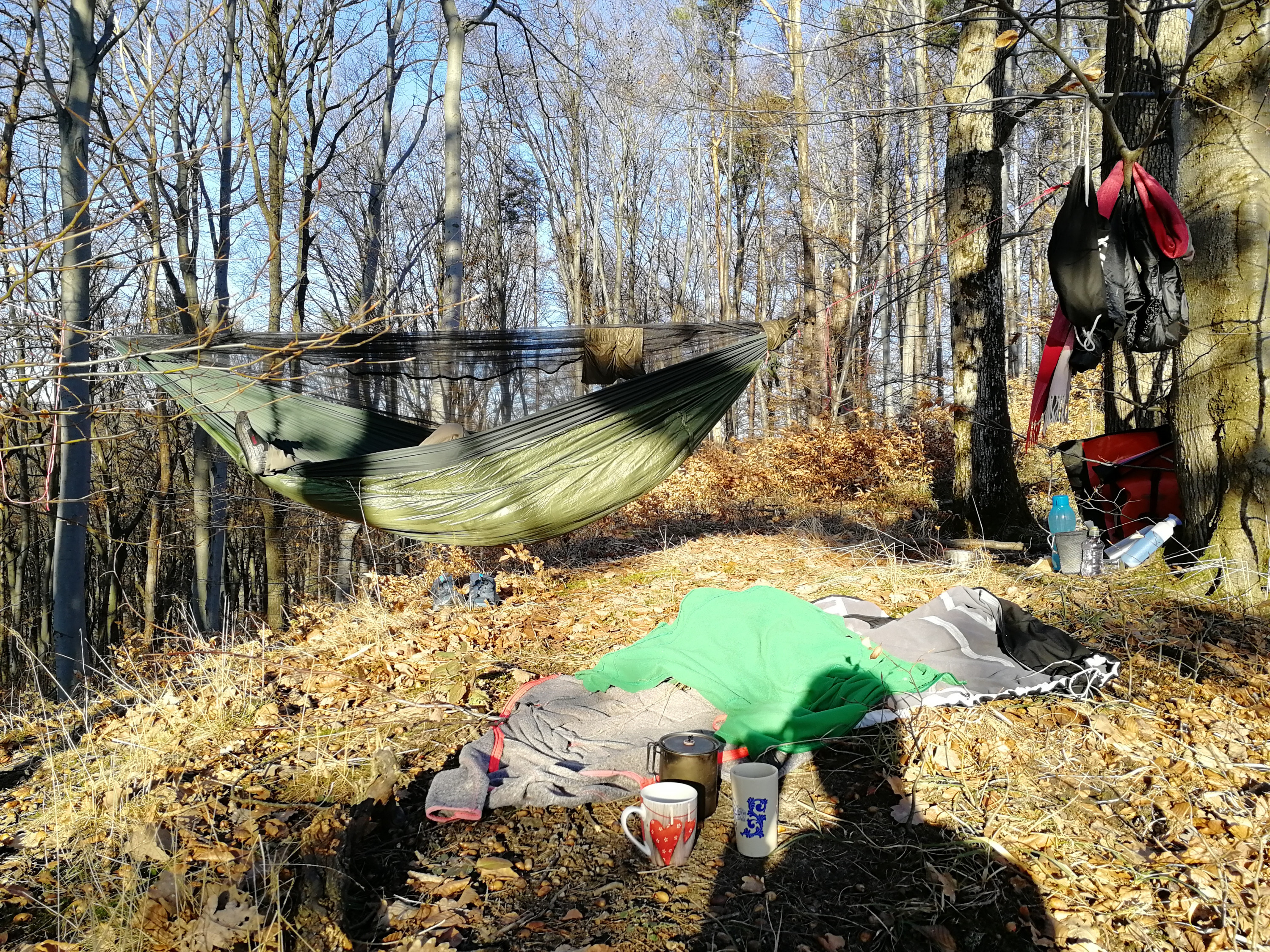 Kaffeepause am Waldrand