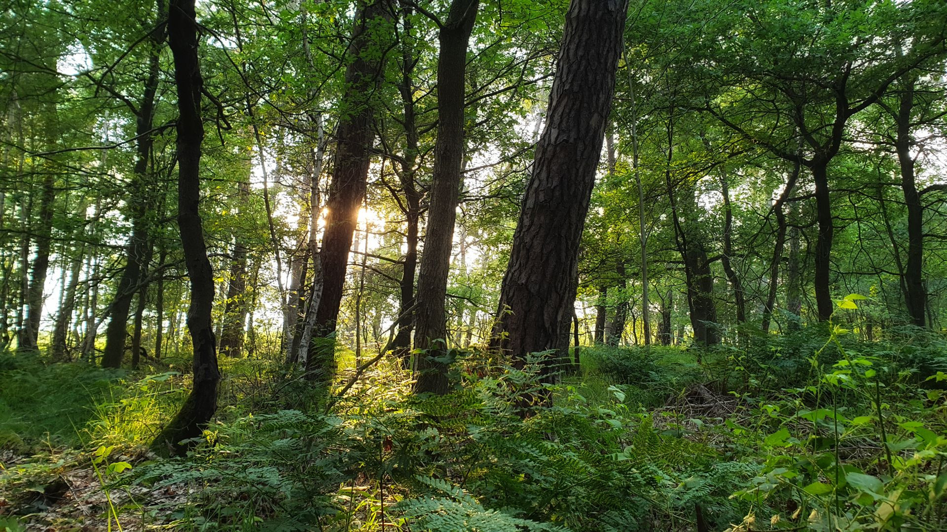 Overnighter in Lichtenhagen