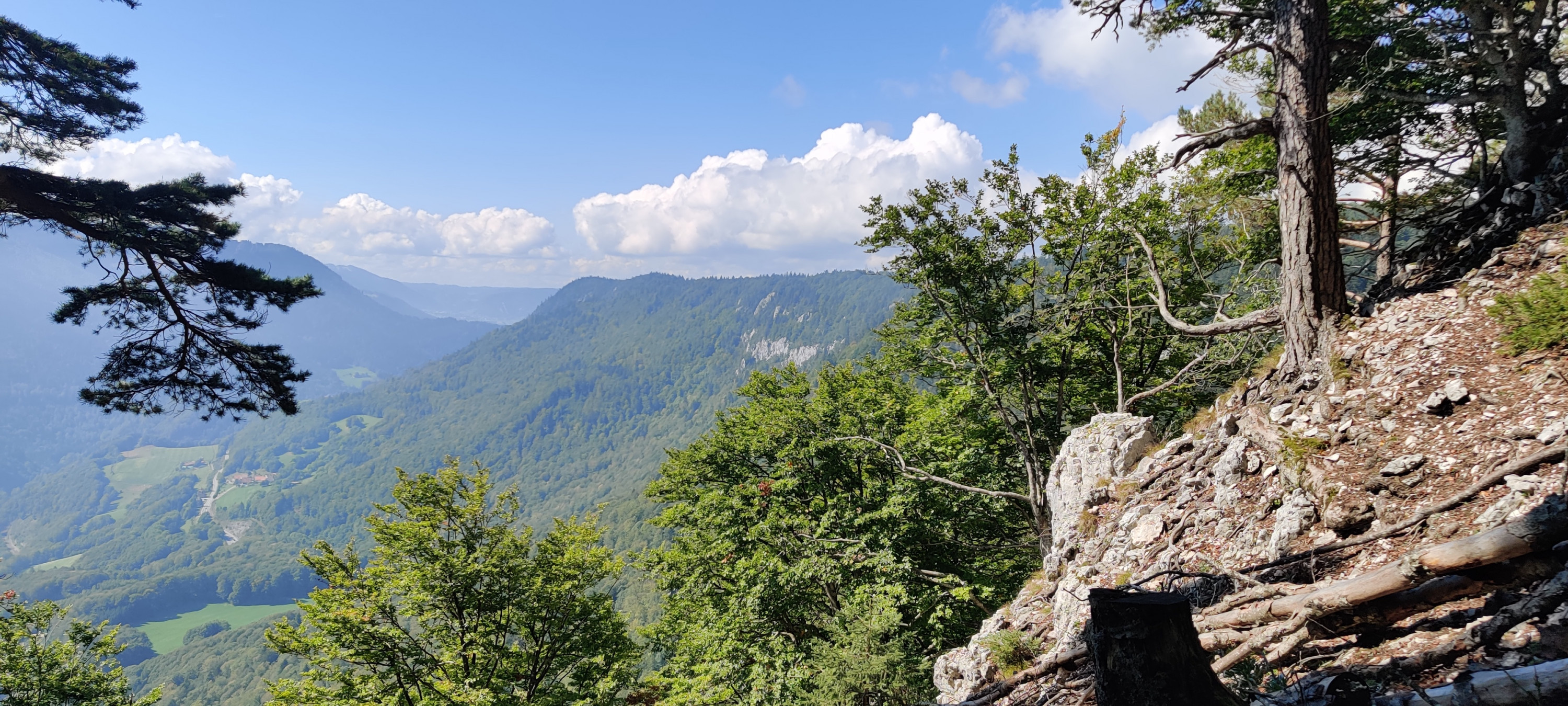 Blick Richtung Frankreich