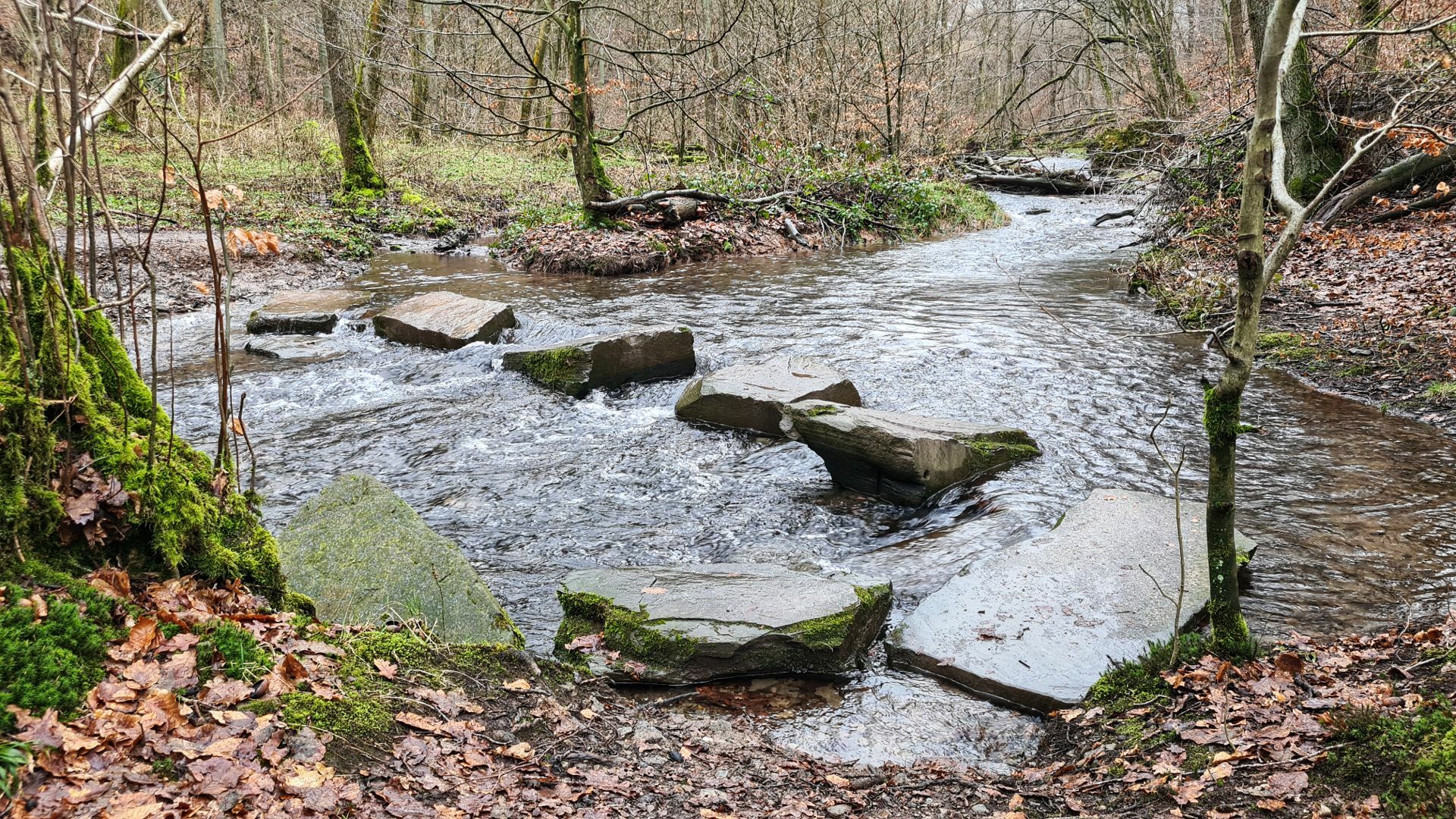 Auf dem Weg zum Wintertreffen Hangematten NRW nach Gevelsberg