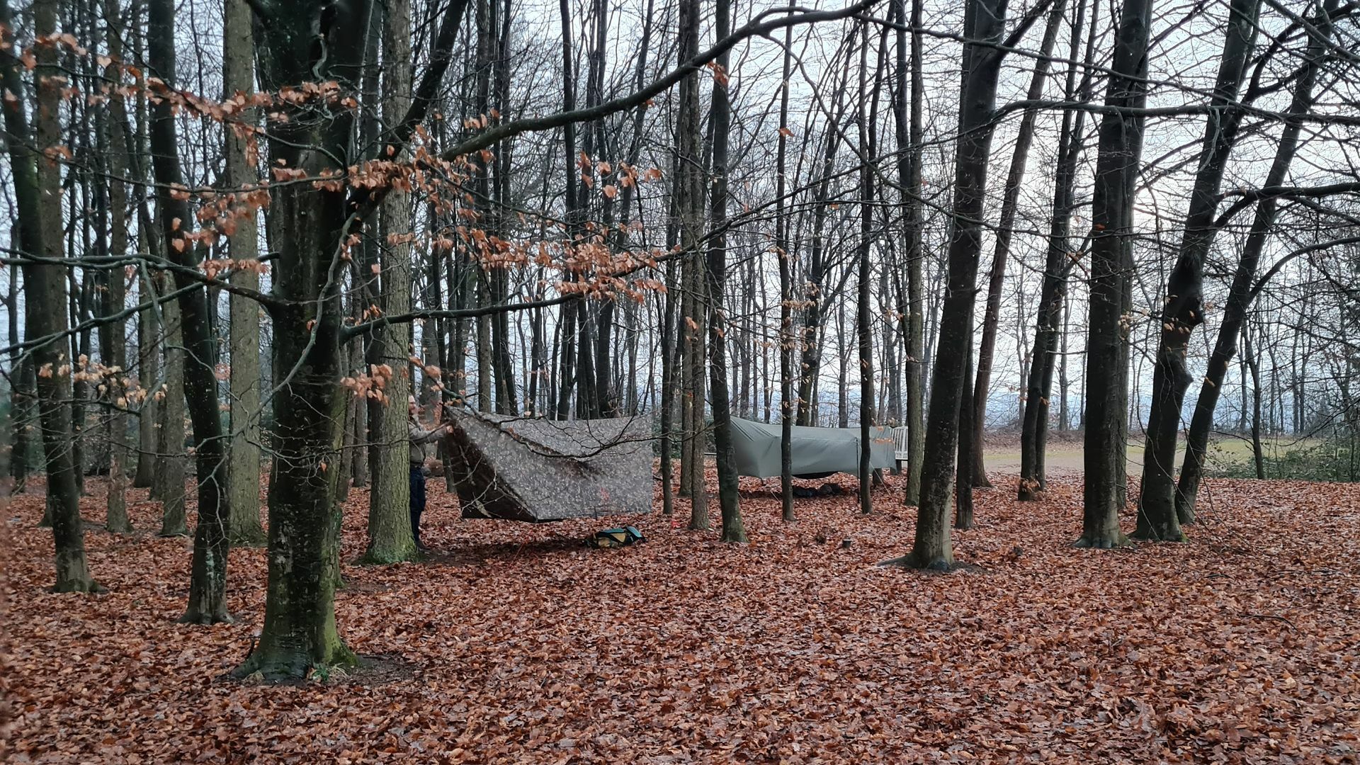 Wintertreffen Hängematten NRW - wir warten auf Verstärkung