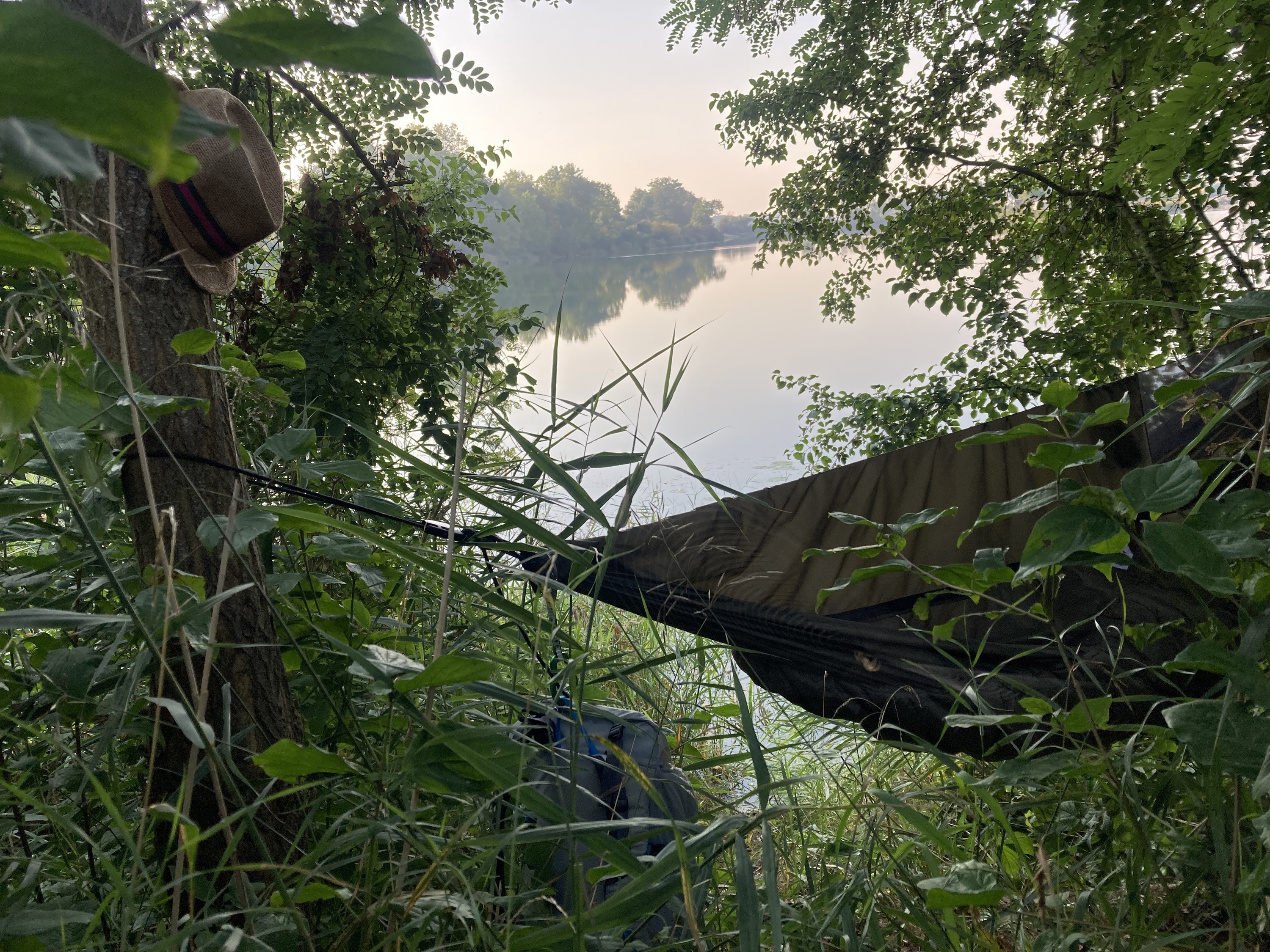 Millionen Mücken und kein Stich