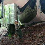 Ein kurzer Tagesausflug in den Wald...