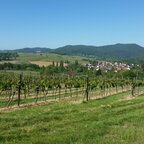 Göcklingen (Burg Landek im Hintergrund)