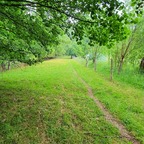 Blick aus dem Küchentarp in Richtung Bootsanleger (hinten im Bild versteckt)
