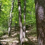 Ich in meiner TTTM Lightest