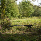 48F39001-DCAD-429C-BD5B-E2041D9B77A9