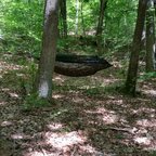 Kollege beim Testen seines DD Setups